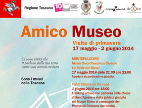 museo-amico